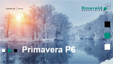 Primavera P6 Overview Webinar